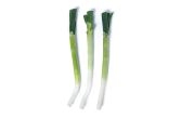 Tokyo Negi Scallions