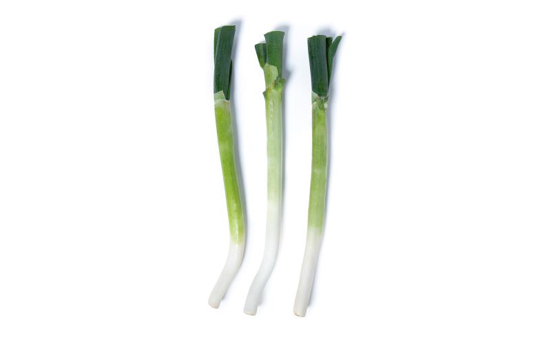 Tokyo Negi Scallions