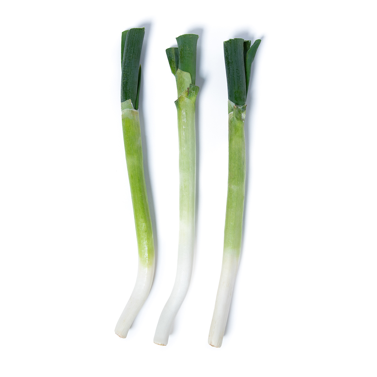 Tokyo Negi Scallions | Scallions | Baldor Specialty Foods