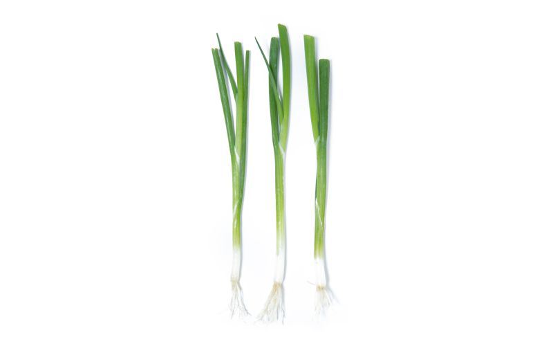 KinderGreens® Menegi Scallions