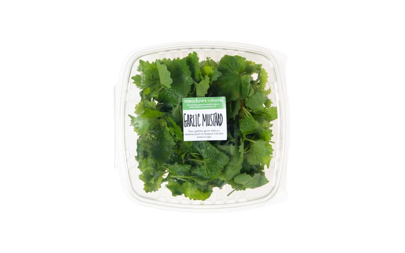 Wild Garlic Mustard