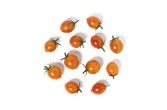 Firebird Tomatoes