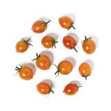 Firebird Tomatoes