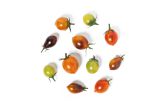 Medley Tomato Mix