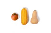 Winter Squash Toy Chest Mix