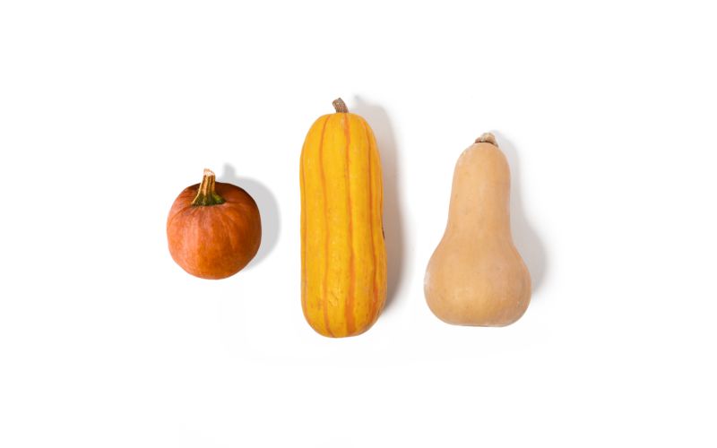Winter Squash Toy Chest Mix