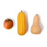 Winter Squash Toy Chest Mix