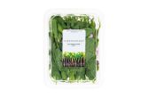 Pea Tendril Blossoms