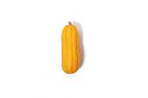 Tetra Squash