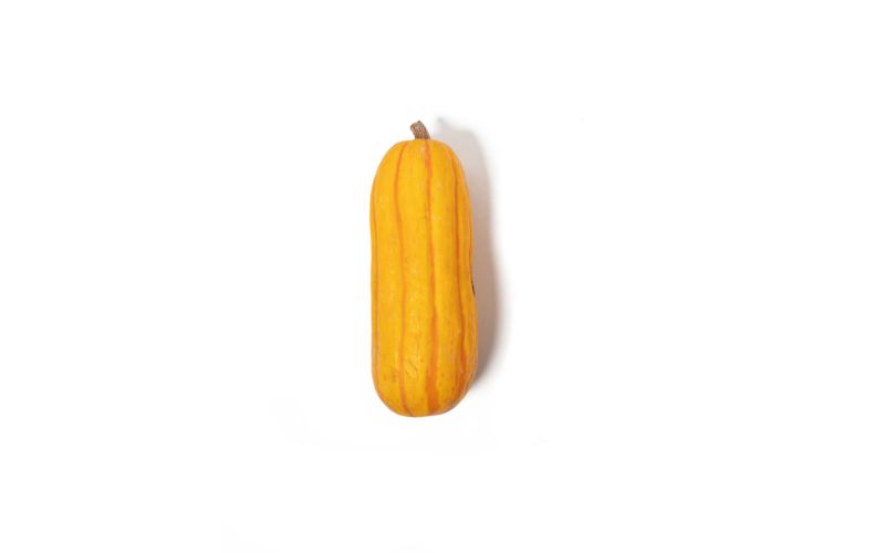 Tetra Squash