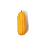 Tetra Squash