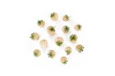 Pineberries