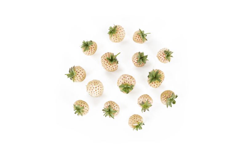 Pineberries