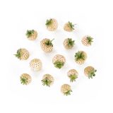 Pineberries
