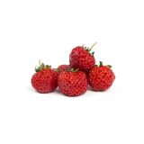 Strasberries