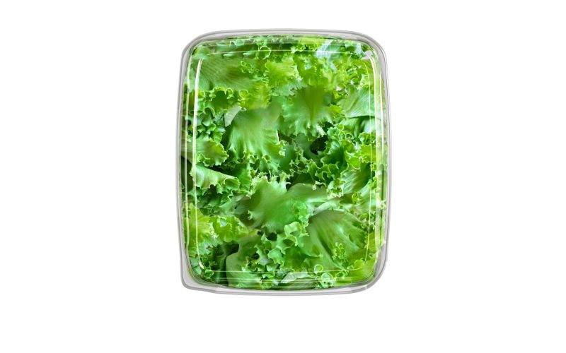 Crispy Green Leaf Lettuce