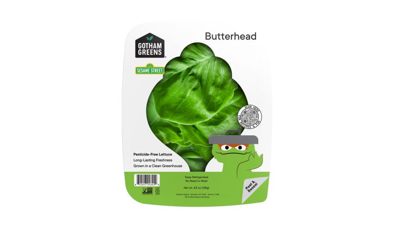 Butterhead Lettuce