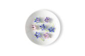 Borage Flowers