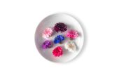 Bachelor's Buttons