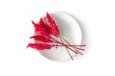 Firestix Flowers