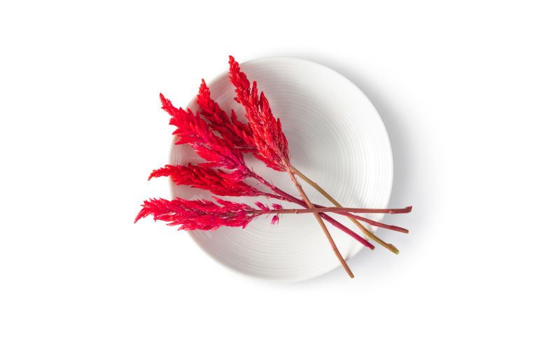 Firestix Flowers