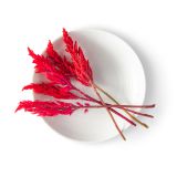 Firestix Flowers