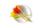 Firestix Flower Mix