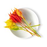 Firestix Flower Mix
