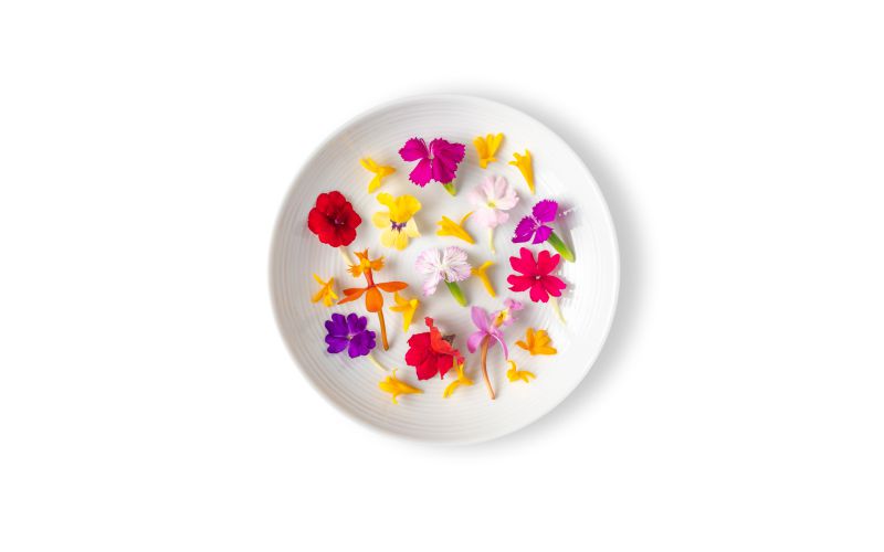 Micro Flower Blend