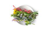 Herb Flower Mix