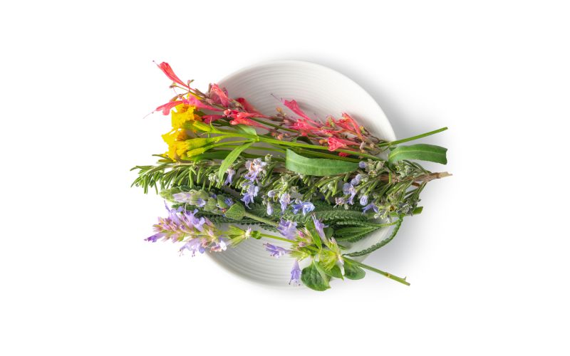 Herb Flower Mix