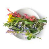Herb Flower Mix