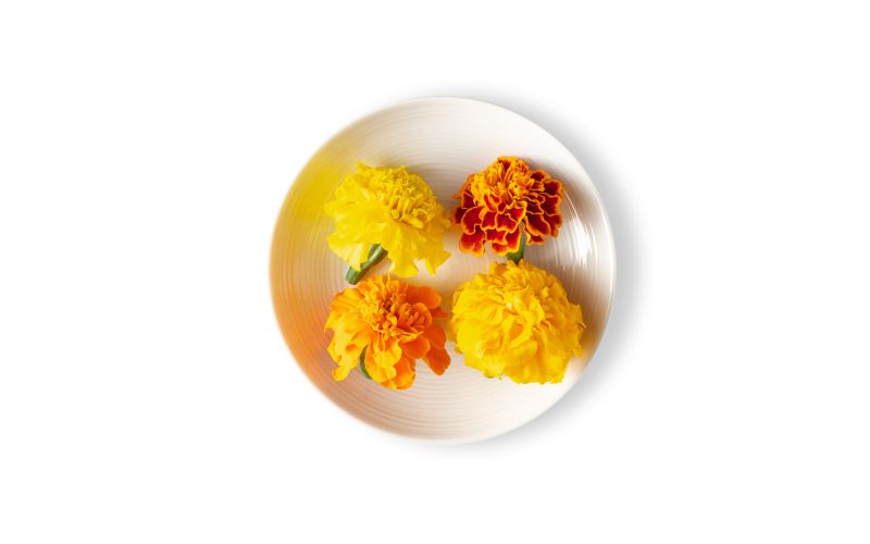 Marigold Flowers