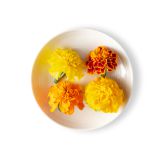 Marigold Flowers