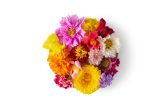 Premium Assortment Edible Flowers