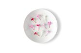 Micro Star Flowers