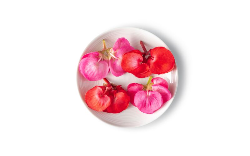 Edible Begonia Flowers Valentines Hearts