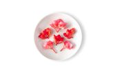 Micro Begonia Flowers Valentines Hearts