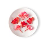 Micro Begonia Flower Hearts Mix