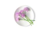 Chive Blossoms