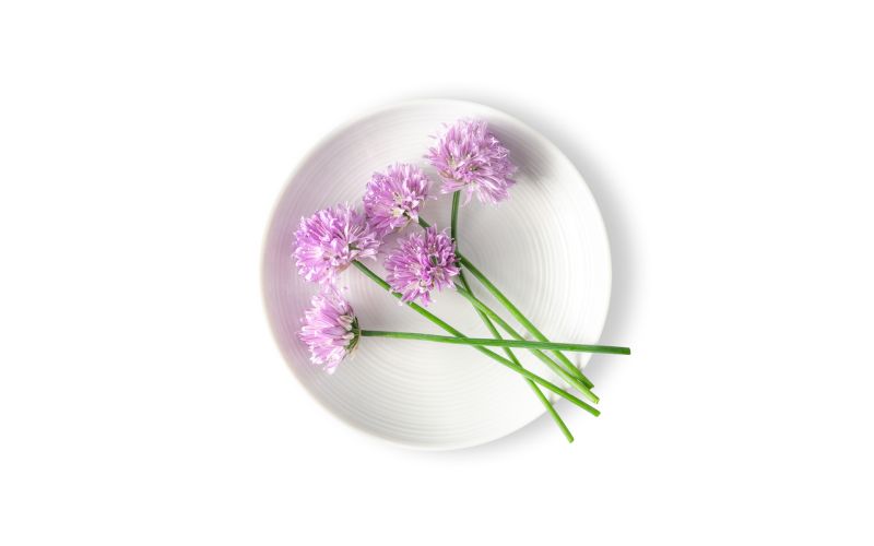 Chive Blossoms