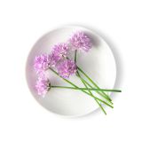 Chive Blossoms