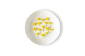 Mustard Flowers