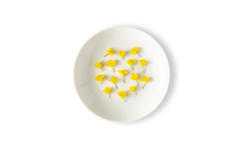 Mustard Flowers