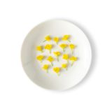 Mustard Flowers