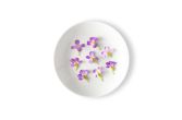 Radish Flowers
