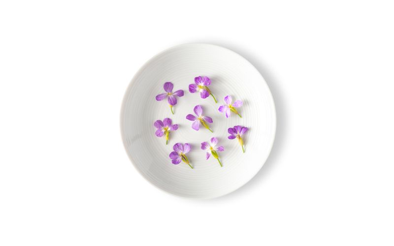 Radish Flowers