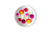 Multi Colored Rose Petals