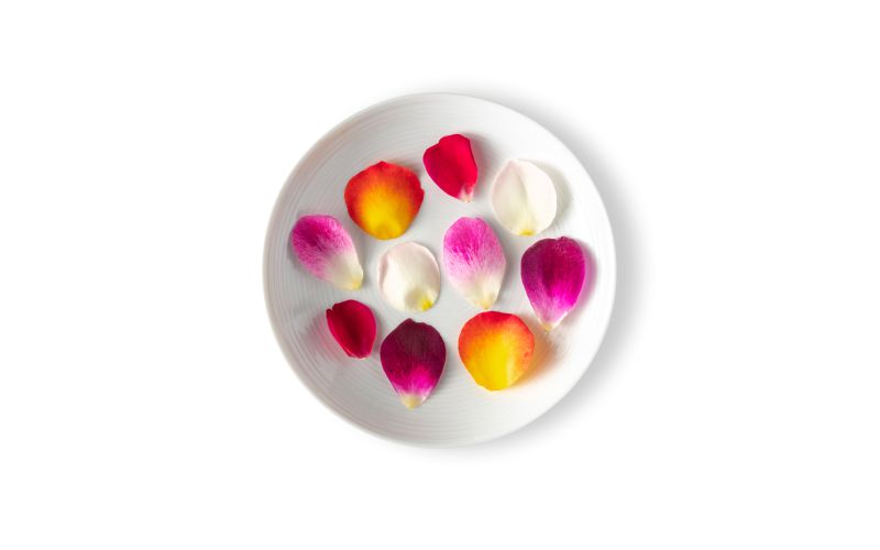 Multi Colored Rose Petals