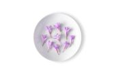 Garlic Blossoms